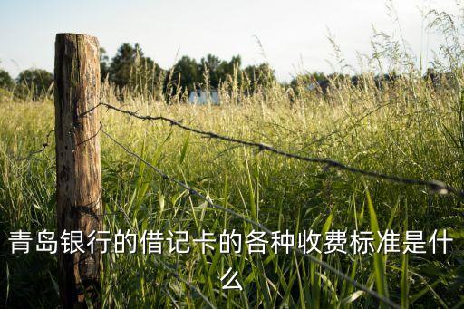 青島銀行的借記卡的各種收費標(biāo)準(zhǔn)是什么