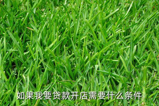 如果我要貸款開店需要什么條件