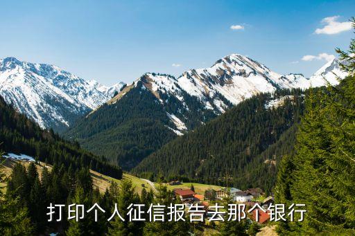 什么銀行可以打印征信，征信記錄在那個銀行打