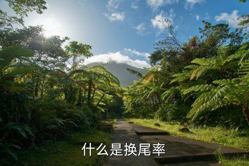 什么是換手率，什么是換尾率