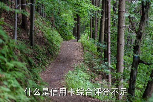 什么是信用卡綜合評(píng)分不足