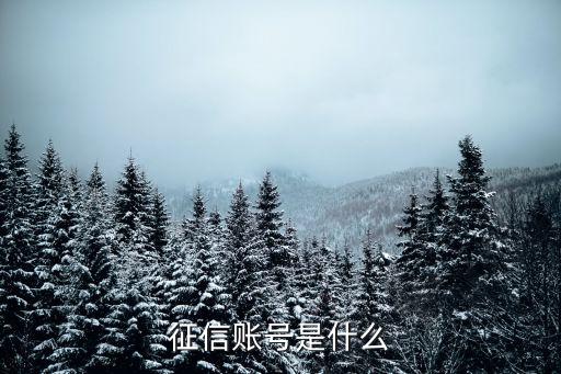 征信賬號(hào)是什么
