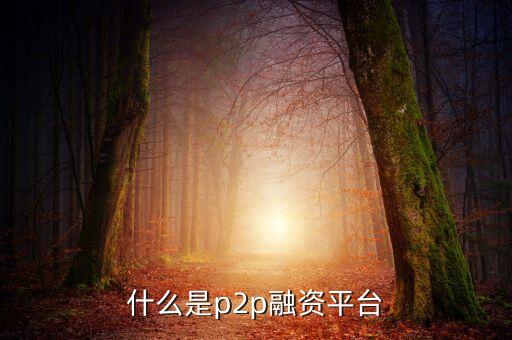 什么是p2p融資平臺