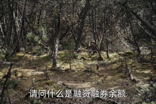 請問什么是融資融券余額