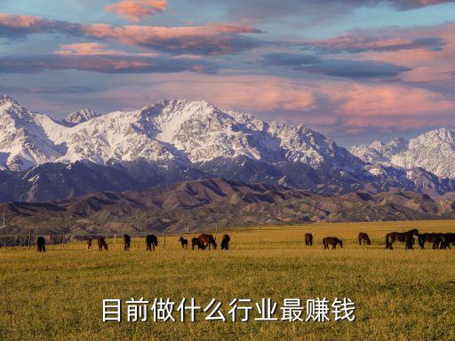 如今什么職業(yè)致富，現(xiàn)在什么職業(yè)最賺錢