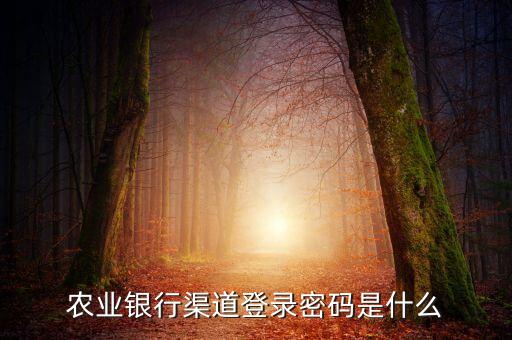 河北農(nóng)業(yè)銀行網(wǎng)上登錄密碼是什么意思，農(nóng)業(yè)手機(jī)銀行登錄密碼是什么
