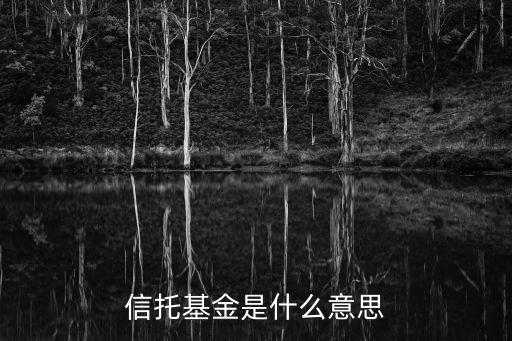 保險信托金是什么意思，貴金屬中保險金信托是什么