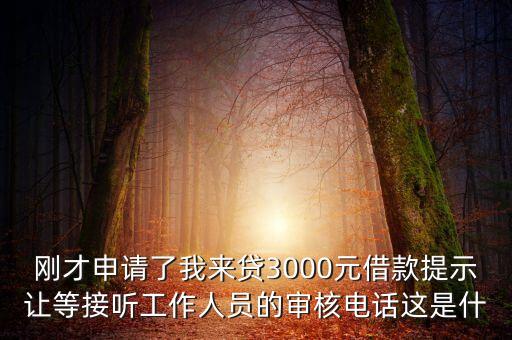 剛才申請了我來貸3000元借款提示讓等接聽工作人員的審核電話這是什