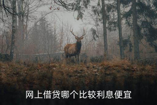 現(xiàn)在什么網(wǎng)貸利息最低，請問哪個網(wǎng)貸利率低