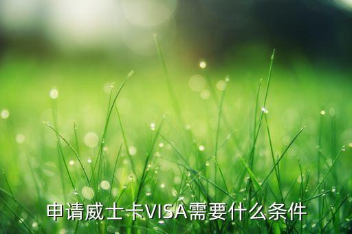 申請威士卡VISA需要什么條件