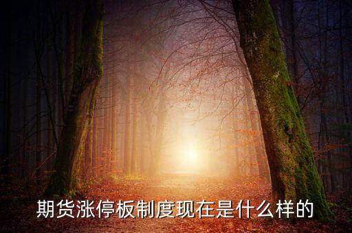 期貨漲停板什么意思，期貨里的漲停板和跌停板什么意思