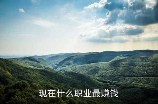 現(xiàn)在什么職業(yè)最賺錢