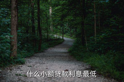 什么小額貸款利率低，哪個(gè)小額貸款利率低一點(diǎn) 推薦推薦