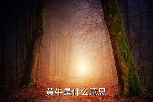 黃牛是什么意思，黃牛是什么意思
