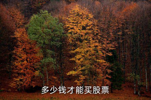 多少錢才能買股票