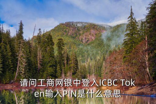 工商信用卡pin碼是什么，誰能告訴我工商銀行說的PIN是什么