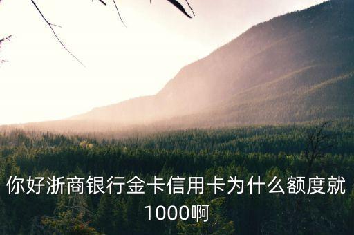 你好浙商銀行金卡信用卡為什么額度就1000啊