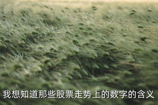 股票上的數(shù)字代表什么意思，股票代號(hào)中的首個(gè)數(shù)字分別表示什么意思