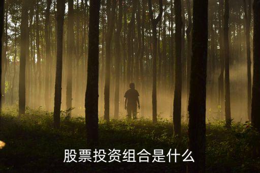 股票投資組合是什么