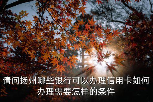 請(qǐng)問(wèn)揚(yáng)州哪些銀行可以辦理信用卡如何辦理需要怎樣的條件