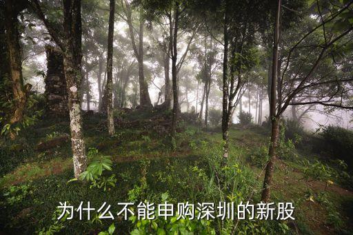 為什么打不了深圳新股，為什么我的證券帳號申購不起深市新股
