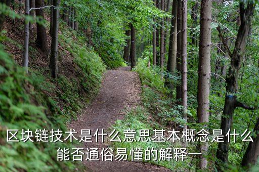 區(qū)塊鏈技術(shù)是什么意思基本概念是什么能否通俗易懂的解釋一