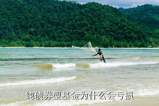 債基什么情況下會虧損，大哥問下 債券基金 具體哪些情況下會賠本