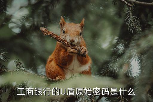 工商銀行的U盾原始密碼是什么