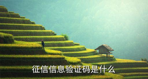 征信中心的銀行卡驗(yàn)證碼是什么情況，個(gè)人征信身份驗(yàn)證碼是什么