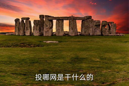 投哪網(wǎng)的月多盈是什么，投哪網(wǎng)月多多怎么退出 多久到賬