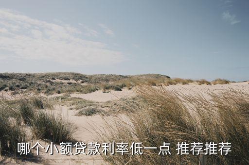 哪個(gè)小額貸款利率低一點(diǎn) 推薦推薦