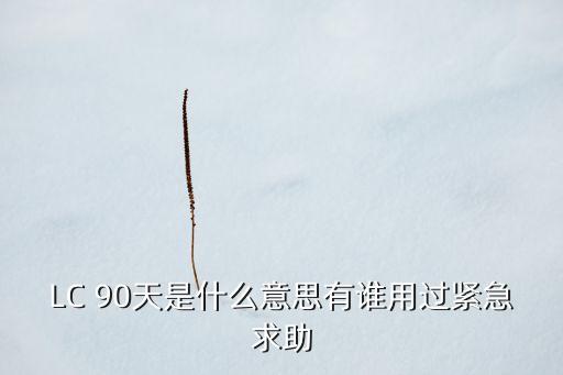 雙90天貸款什么意思，TT 90 DAYS 是指什么