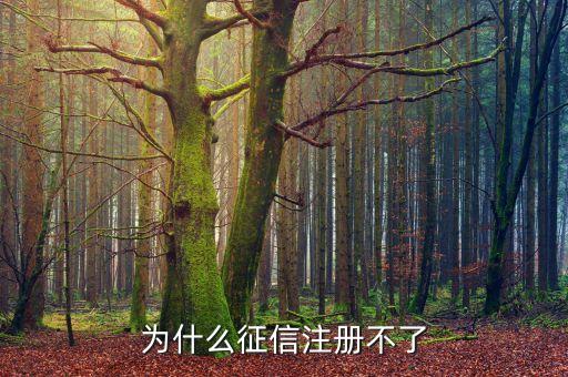 為什么征信注冊不了