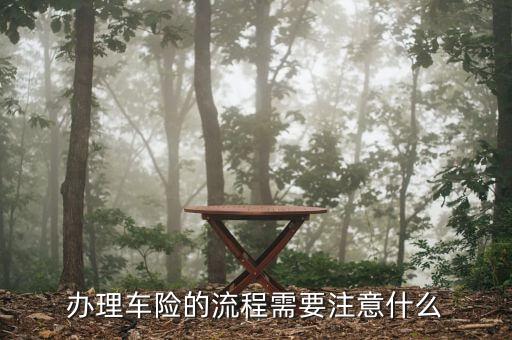 辦理車險的流程需要注意什么