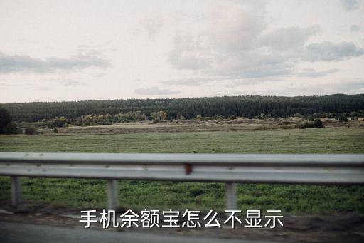 手機(jī)余額寶怎么不顯示