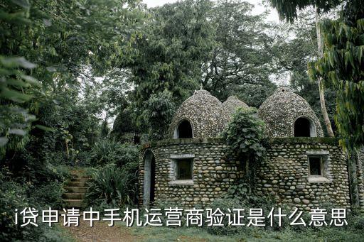 貸款認(rèn)證手機(jī)都查什么，i貸申請(qǐng)中手機(jī)運(yùn)營商驗(yàn)證是什么意思