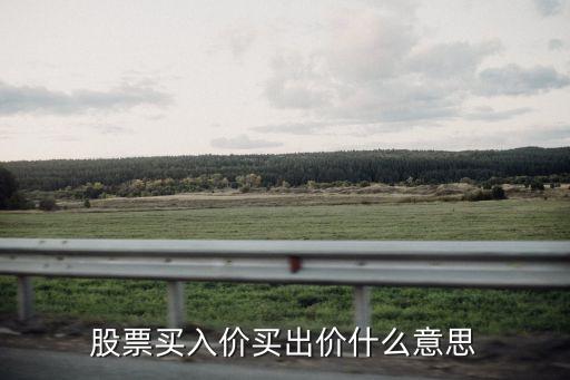 什么是買入價(jià)，股票買入價(jià)買出價(jià)什么意思