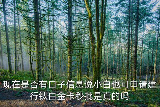 現(xiàn)在是否有口子信息說小白也可申請(qǐng)建行鈦白金卡秒批是真的嗎