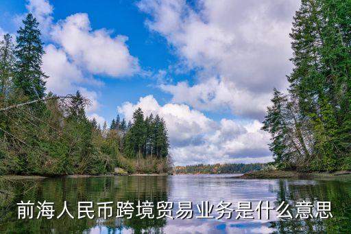 前海雪球人民幣是什么意思，人民幣收藏什么是水版