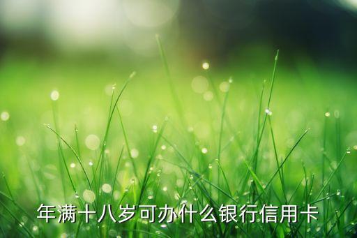 18歲可以申請什么信用卡嗎，年滿十八歲可辦什么銀行信用卡