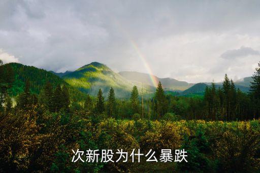 次新股為什么暴跌