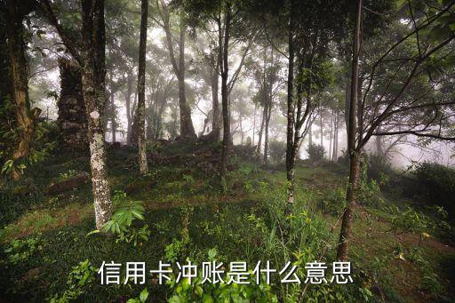 信用卡沖賬是什么意思