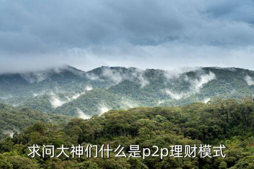 什么是p2p模式，求問(wèn)大神們什么是p2p理財(cái)模式