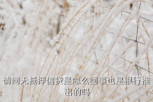 無抵押授信是什么意思，請問無抵押信貸是怎么回事也是銀行推出的嗎