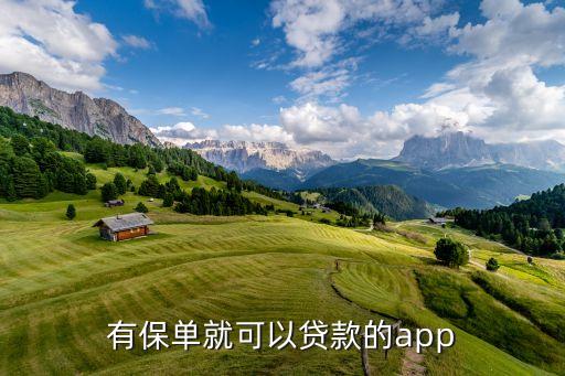 有保單就可以貸款的app