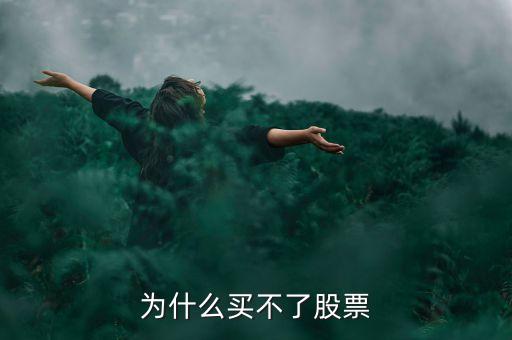 為什么買不了股票