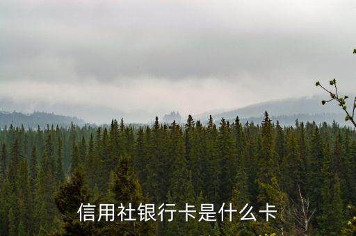 信用社銀行卡是什么卡