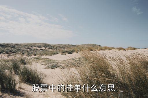 股票掛單是什么意思，股票中的掛單什么意思