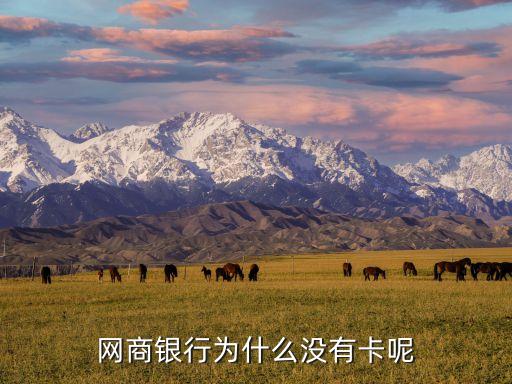 為什么 網(wǎng)商銀行，網(wǎng)商銀行為什么沒有卡呢