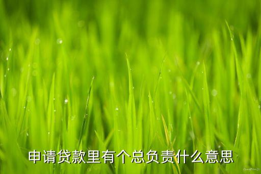 負(fù)責(zé)貸款的是什么意思，貸款主申請(qǐng)人是什么意思
